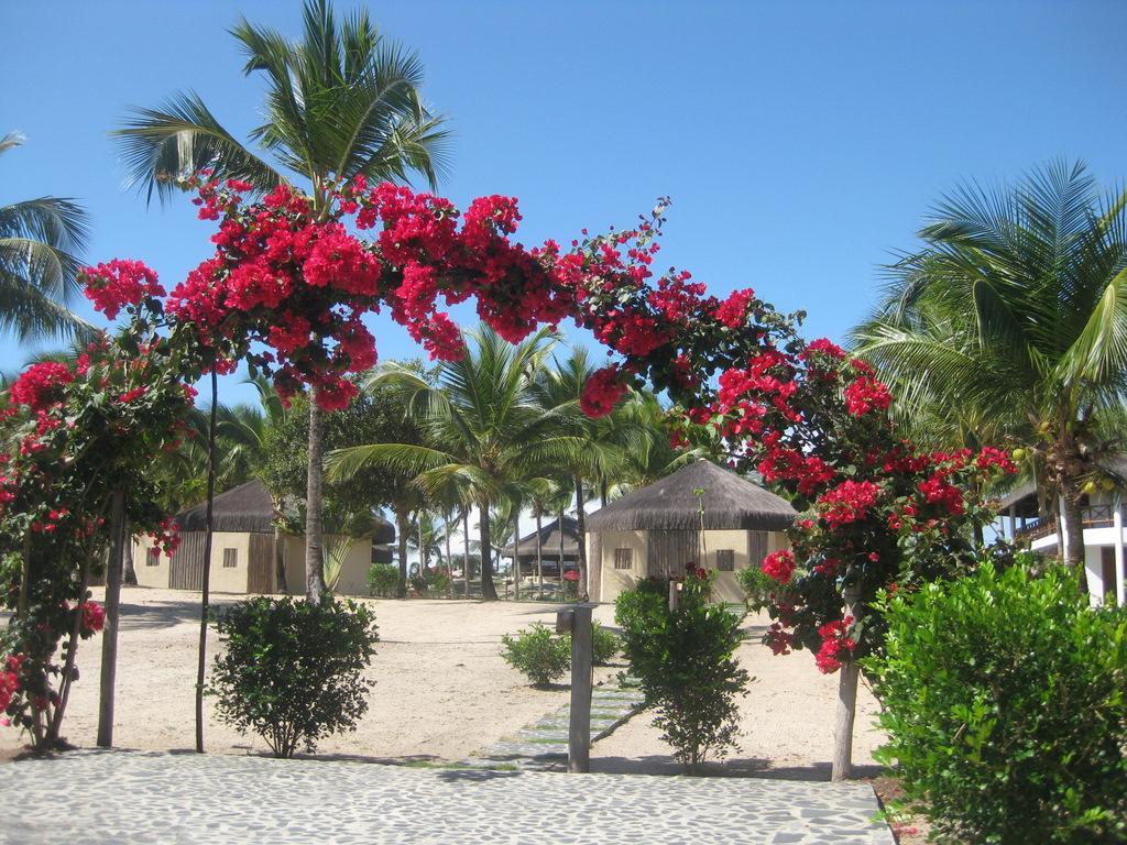 Kani Boutique Hotel Canavieiras  Exterior foto